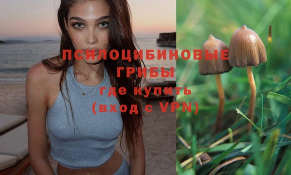 кокаин колумбия Алексин