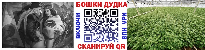 Марихуана THC 21%  Кашин 